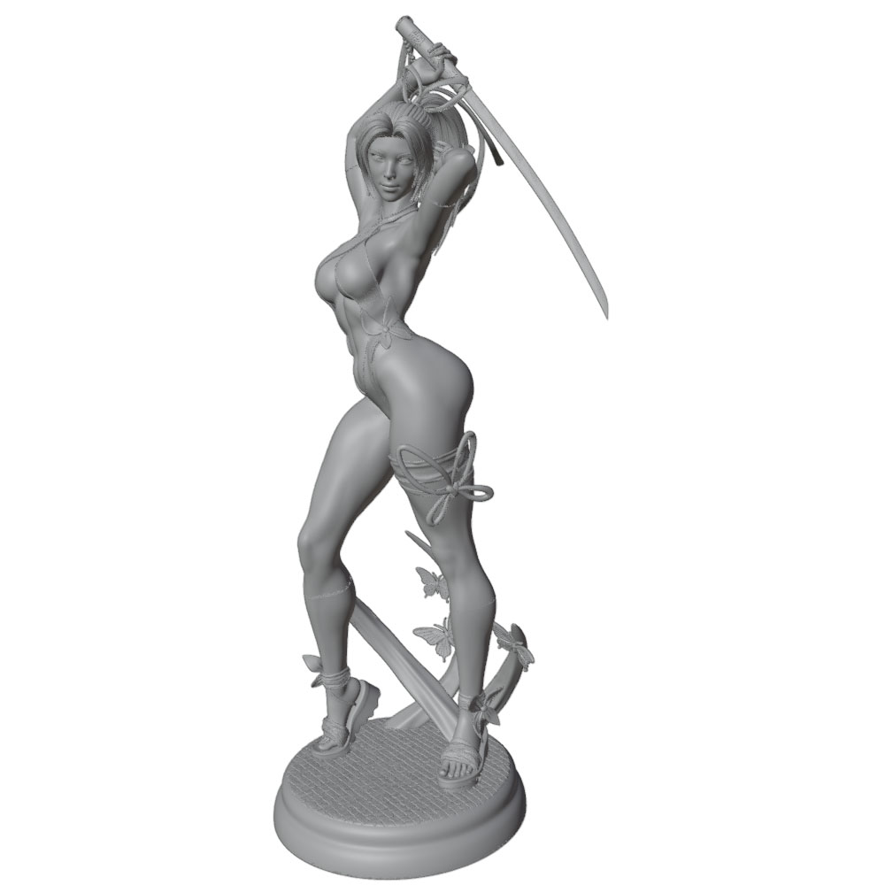 1/24 Female 	Warrior Resin Mod - 3D Printing And Additive Manufacturing recension och pris