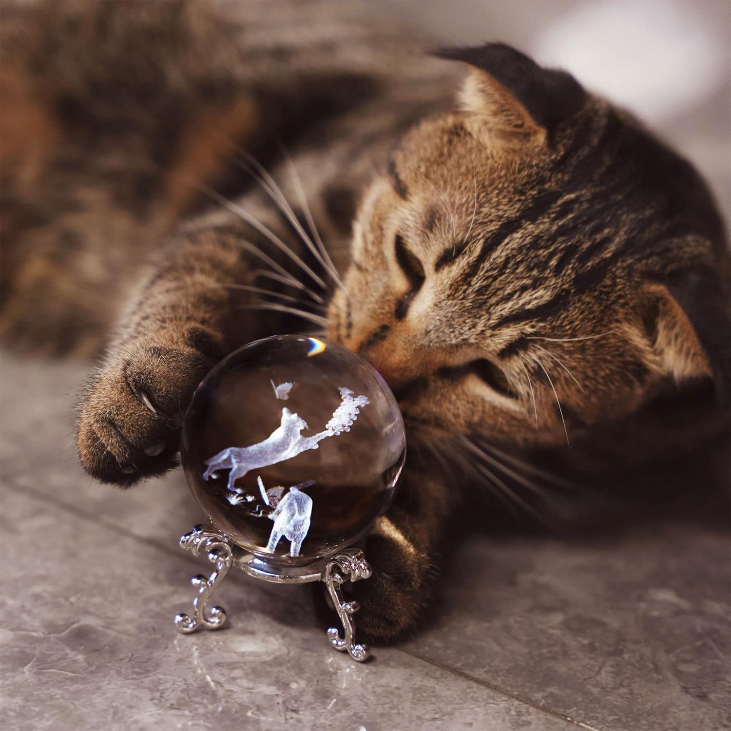60mm Cat Crystal Ball with Met - 3D Printing Laser Cutting recension och pris
