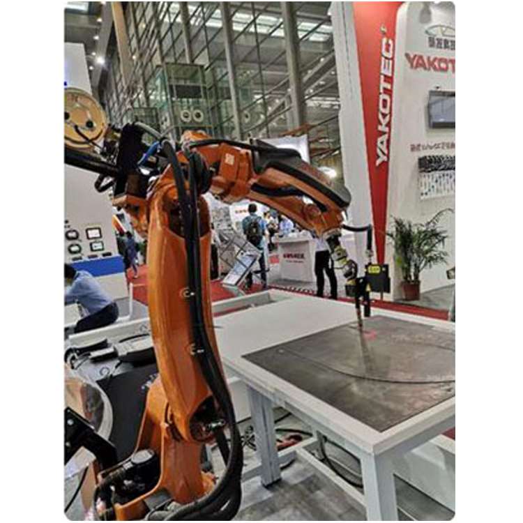 6-Axis Industrial Robotic Arm  - Linear Guide Rail recension och pris
