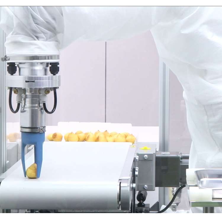 6-Axis CNC Robotic Arm with Li - Linear Guide Rail recension och pris